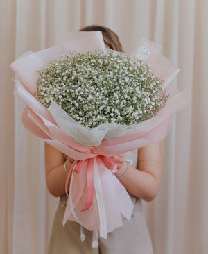 Gypsophila v papíru