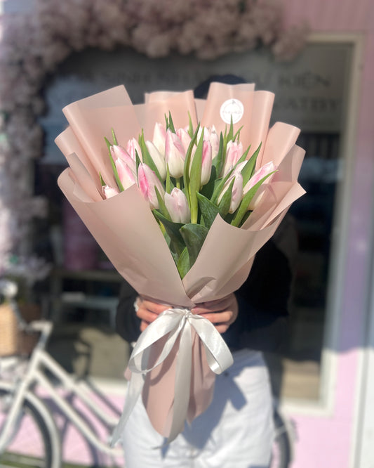 Blush tulips in paper